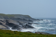 Mistaken Point, NL